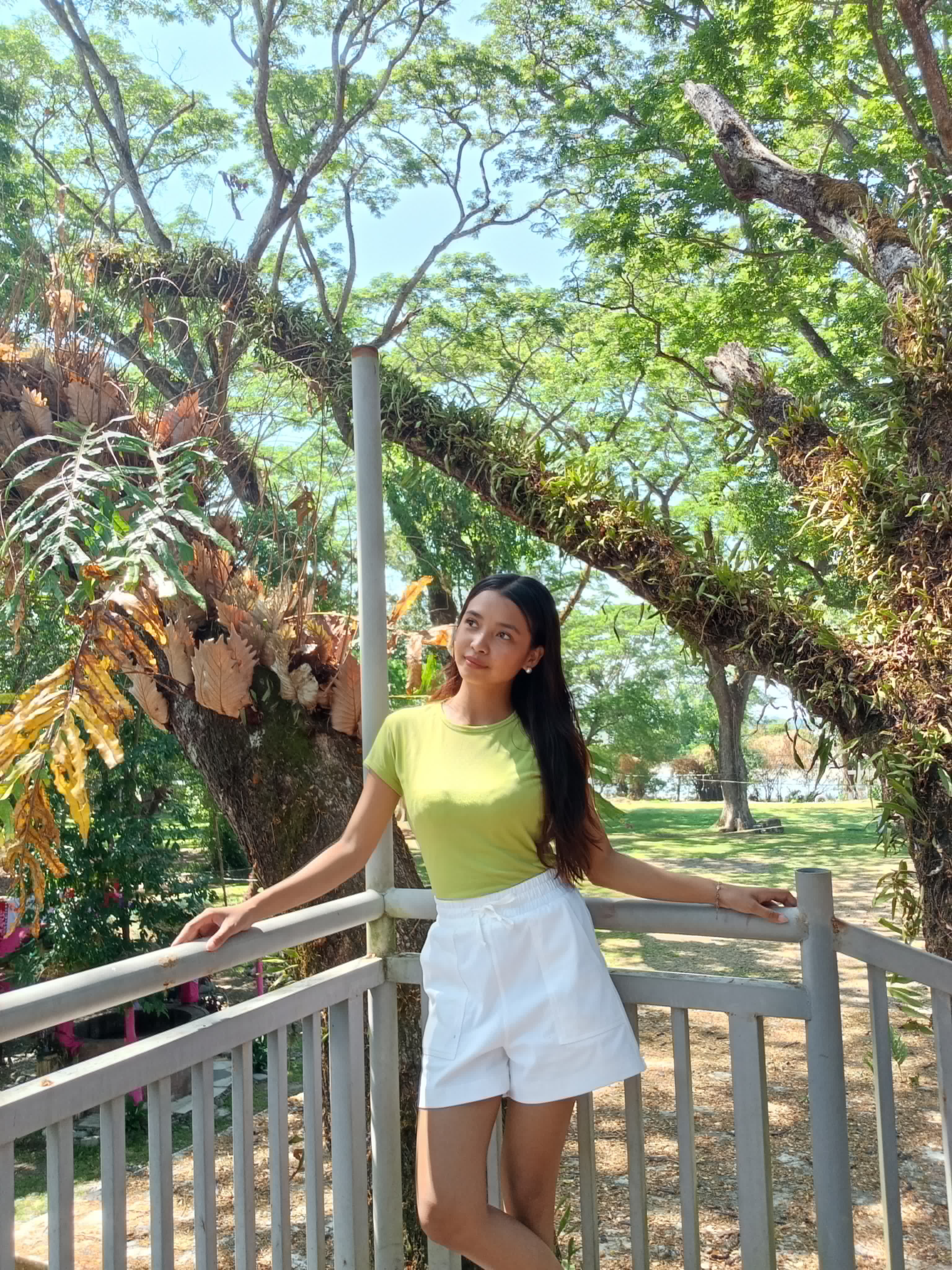 My Photo