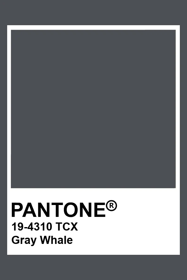 Color 3