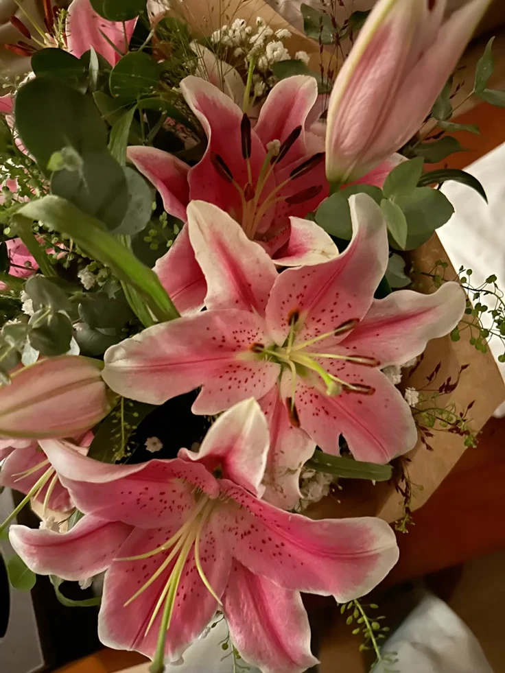 Lily