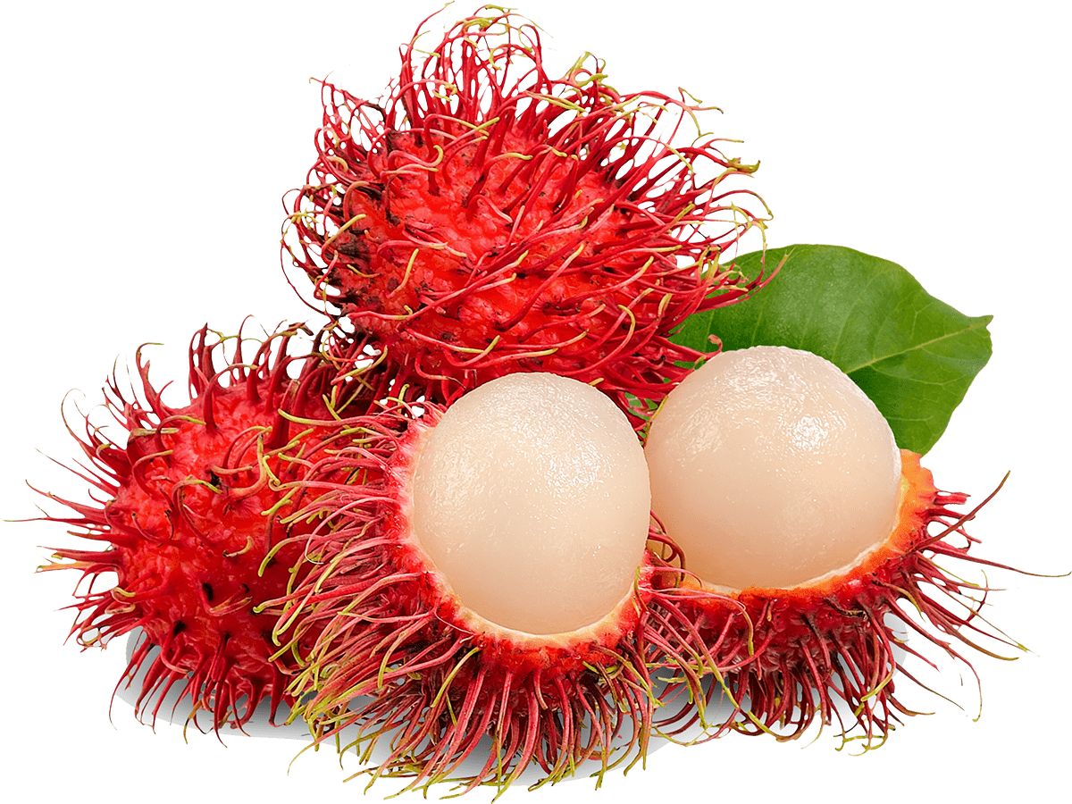 Fruit 2