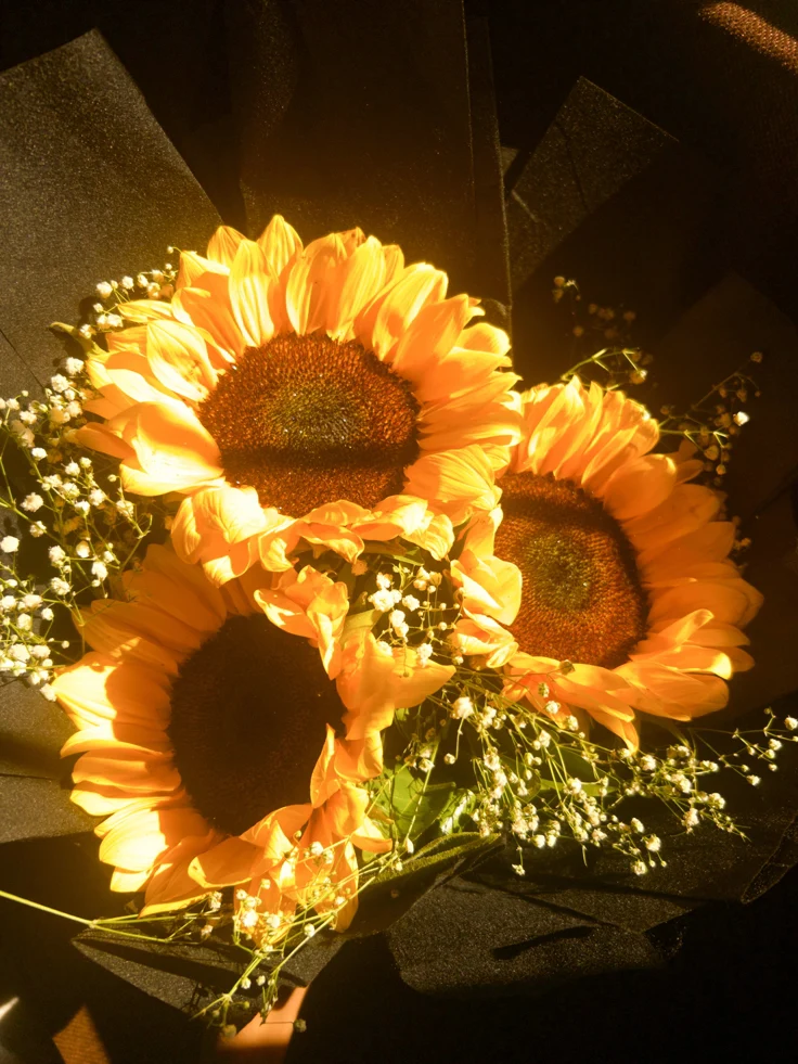 Sun Flower